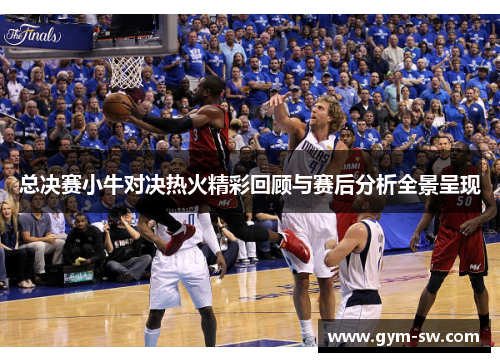 总决赛小牛对决热火精彩回顾与赛后分析全景呈现