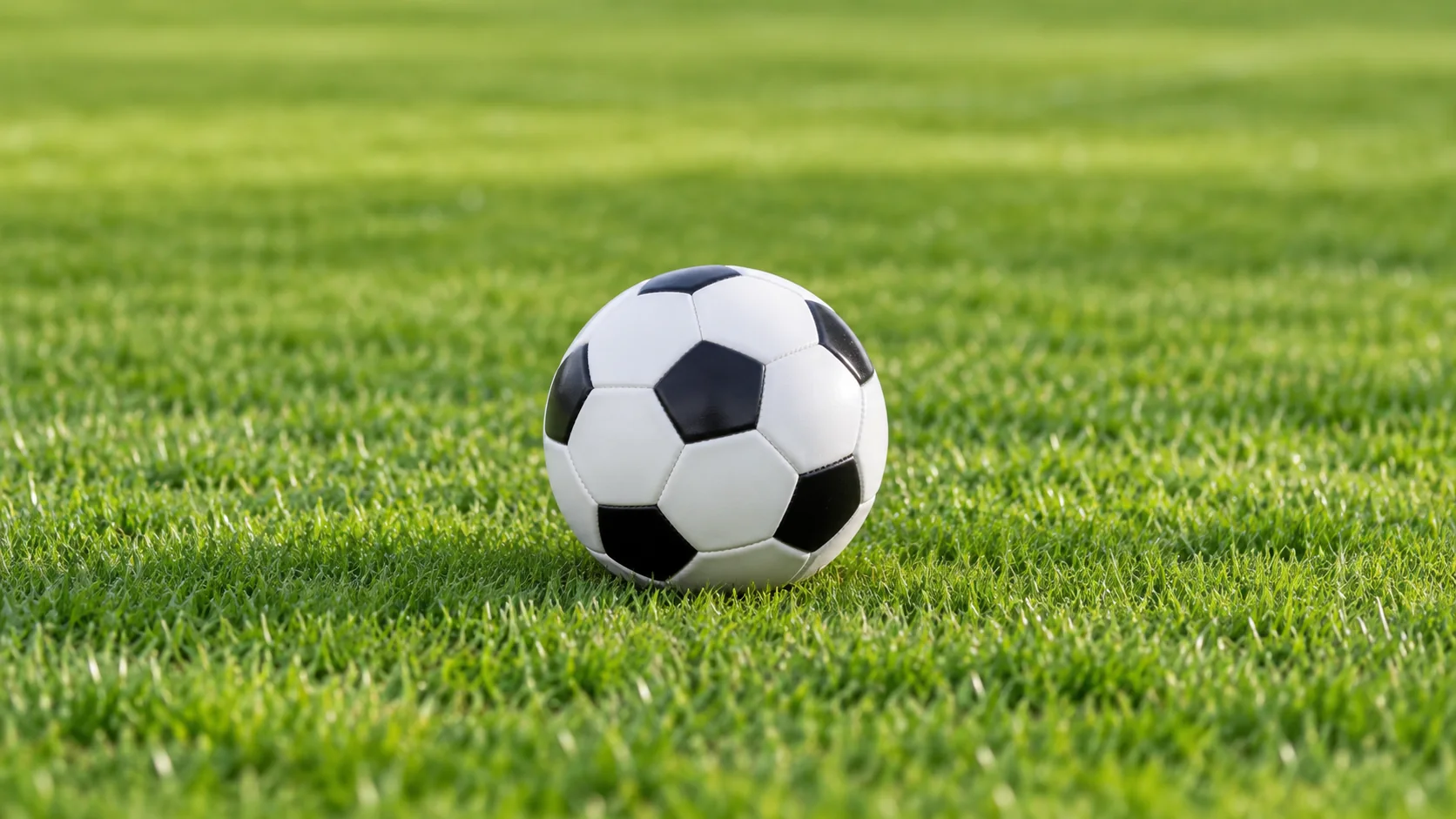 姚明与河镇升的对决：从篮球场到人生舞台的精彩碰撞